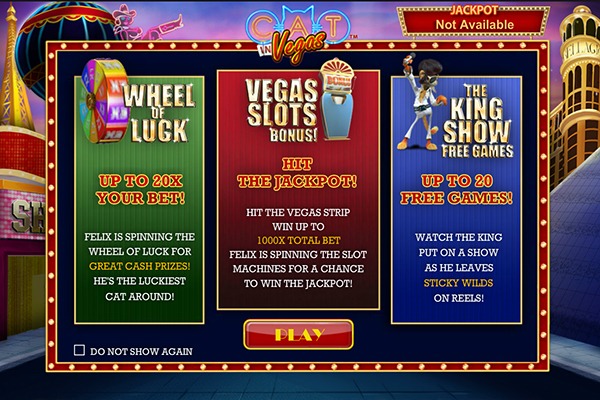 Cat in Vegas slots rules