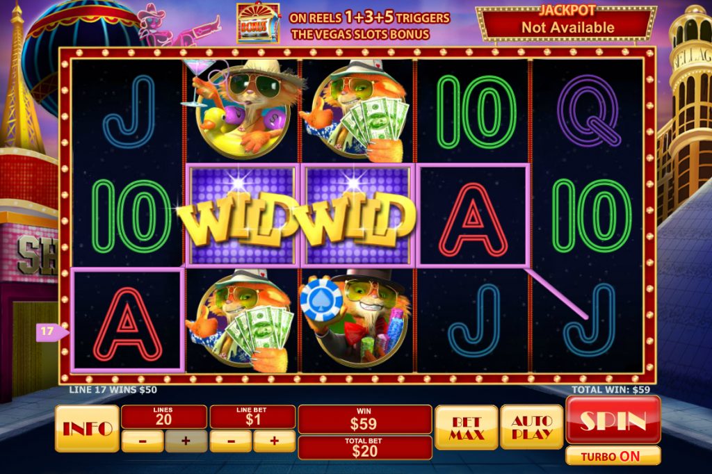 Cat in Vegas Slot Win