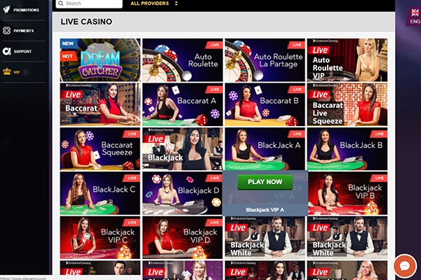 Playamo Casino Live